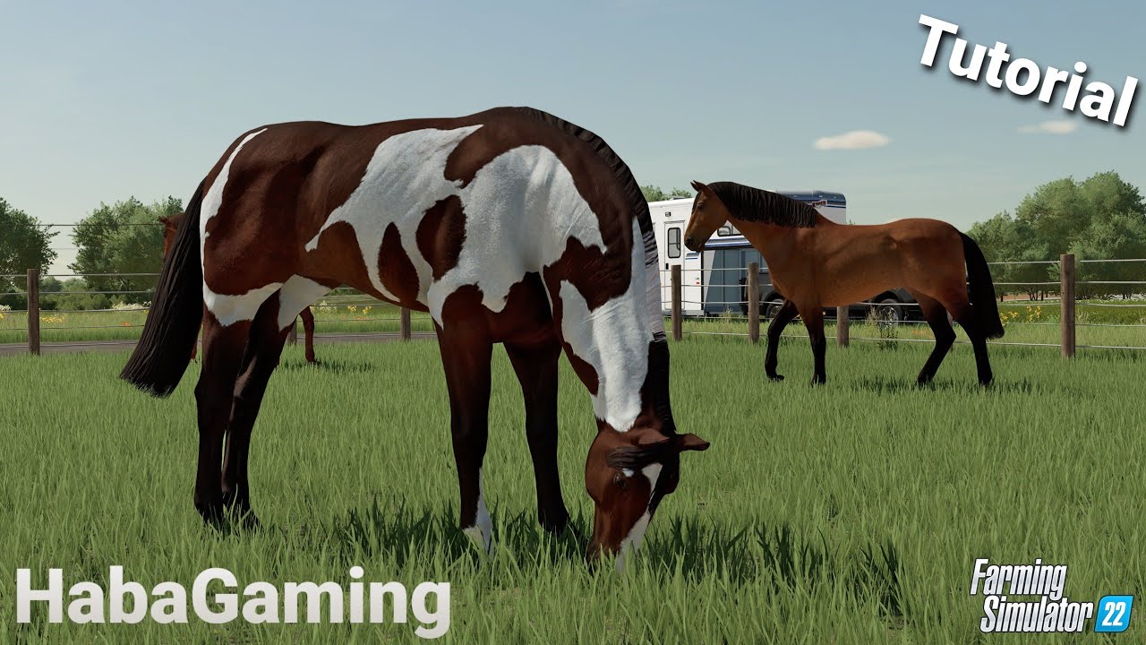 Ló gondozás /Farming Simulator 22
