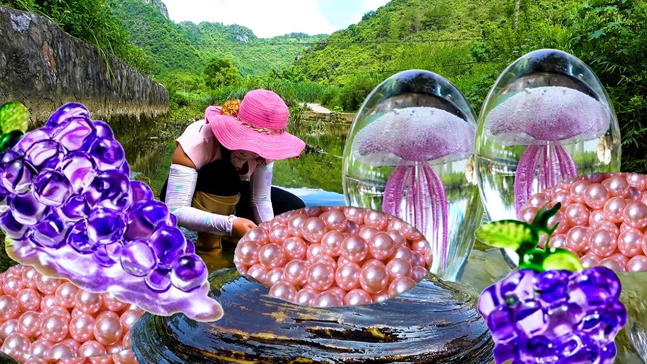 Prying open the giant clam in freshwater, the girl gains a unique and charming treasure of pearls
