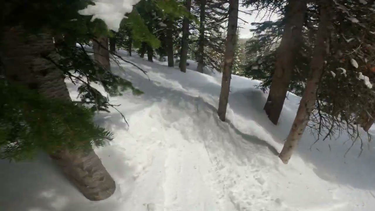 05-10-2024 - Meltdown at Brighton - Snowboarding through Trees on Crest to Scout.