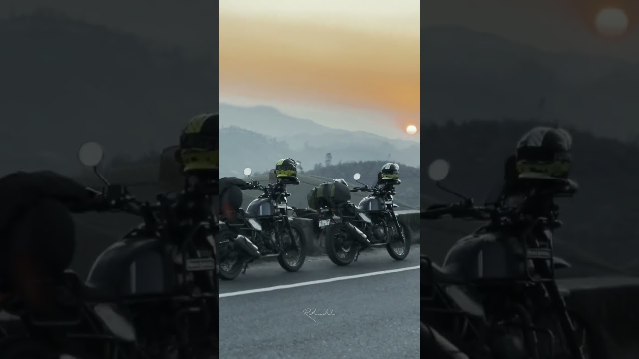 #himalayan