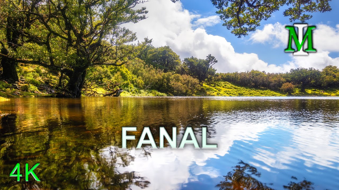 Madeira 4k - Visiting the Fanal Forest and Paul da Serra after the Storm Oscar 🌧