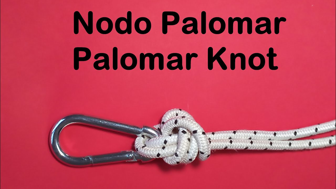 Nodo Palomar / Palomar Knot