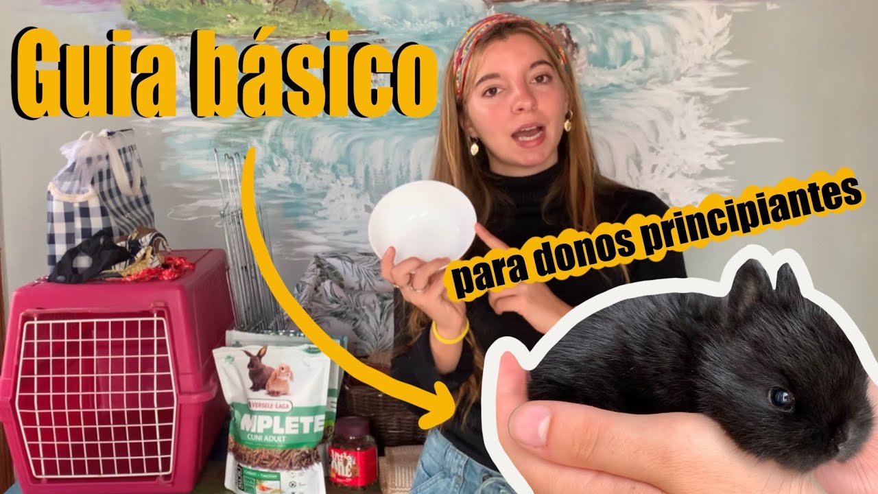 COMO CUIDAR DE UM COELHO - TUDO O QUE É NECESSÁRIO TER ANTES DE ADQUIRIR UM COELHO