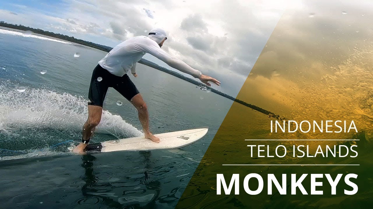 Exploring Monkeys: Telo Islands, Indonesia