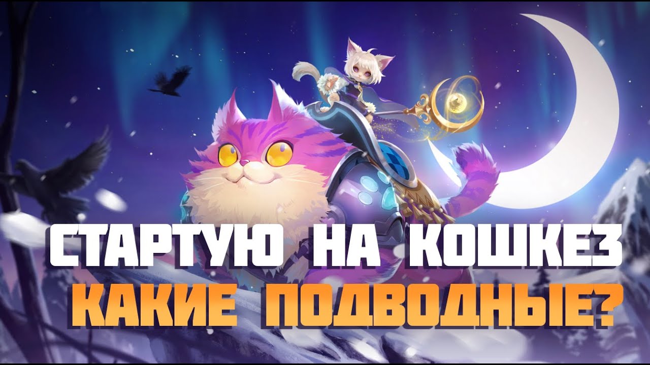 СТАРТ SS11 ЛИГИ VORAX на ERICA 3 VENDETTA'S STING - Документ по билду прилагается.