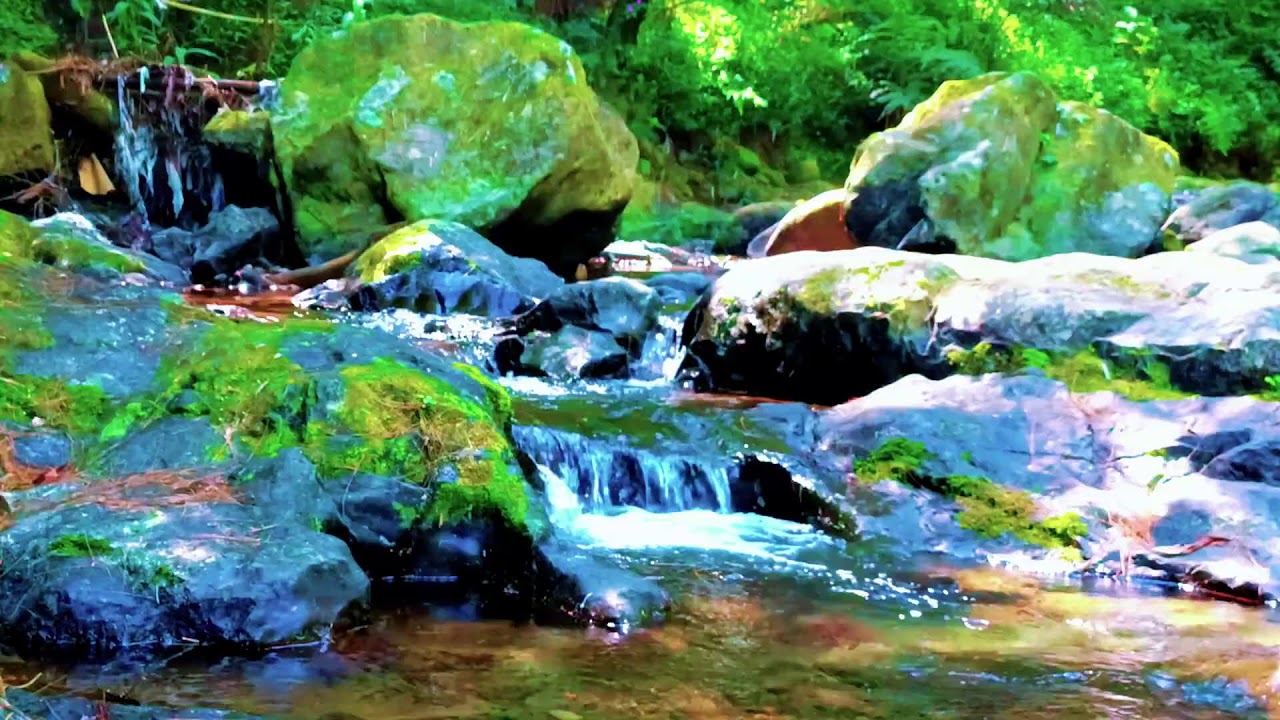Hidden Forest Ambience with Flowing River Sounds for Deep Sleep, Relaxation and Natural Healing