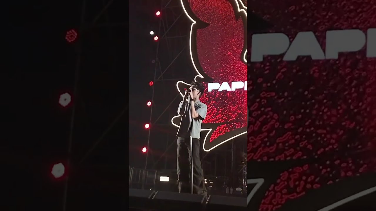 สาริกาลิ้นทอง Paper Planes