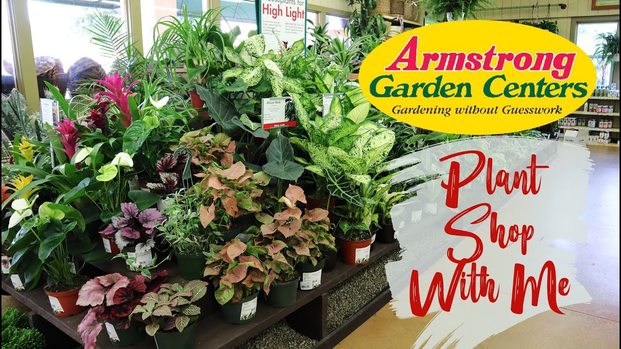 🌱Plant Shopping at Armstrong Nursery in Southern California! 💚.
