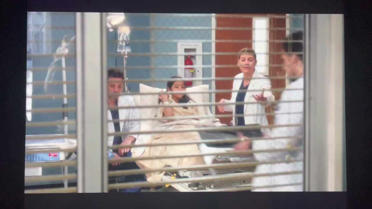 Grey&rsquo;s Anatomy - Insurance Fraud (15x23)