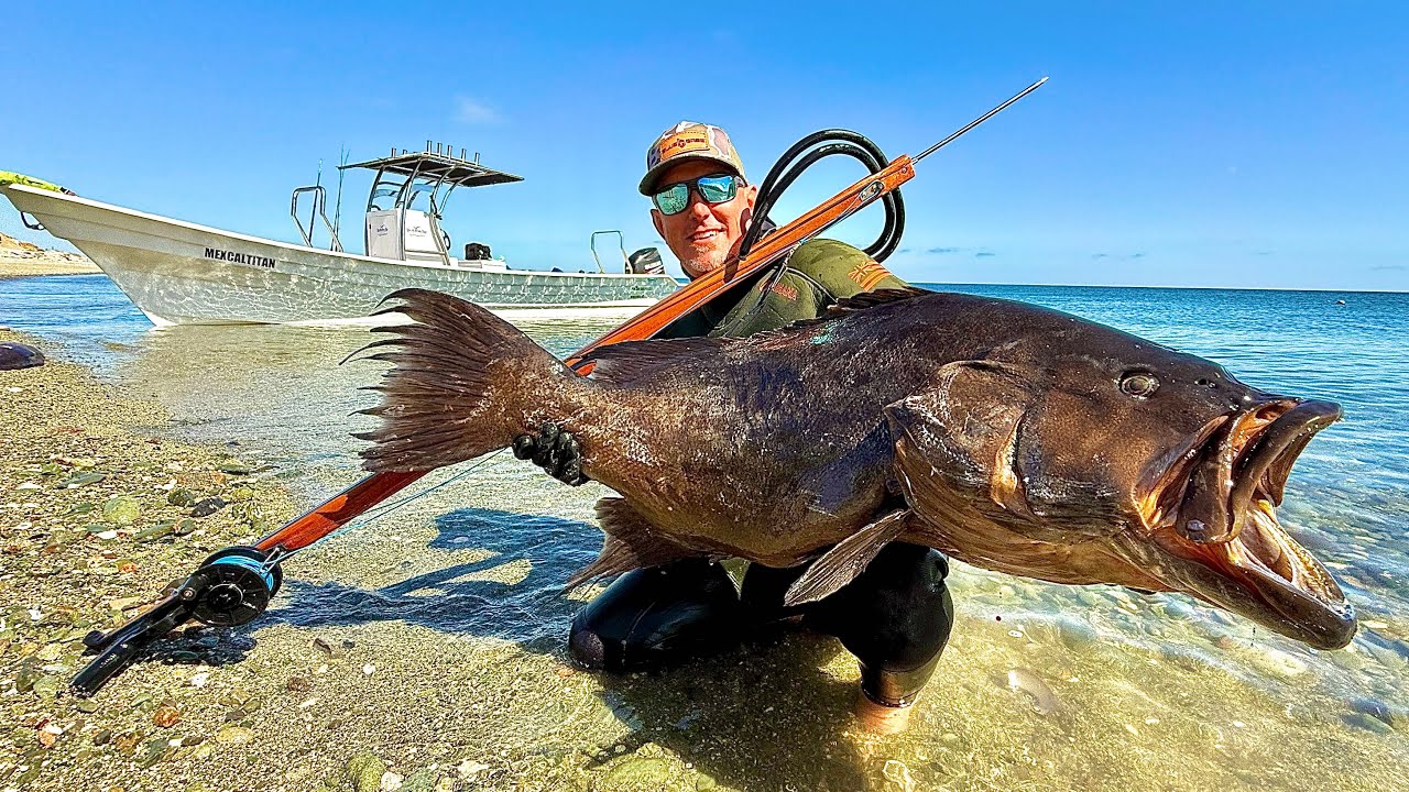 I Speared the BIGGEST Grouper of My Life! (Catch Clean & Cook) I NEVER Thought This Would Happen!