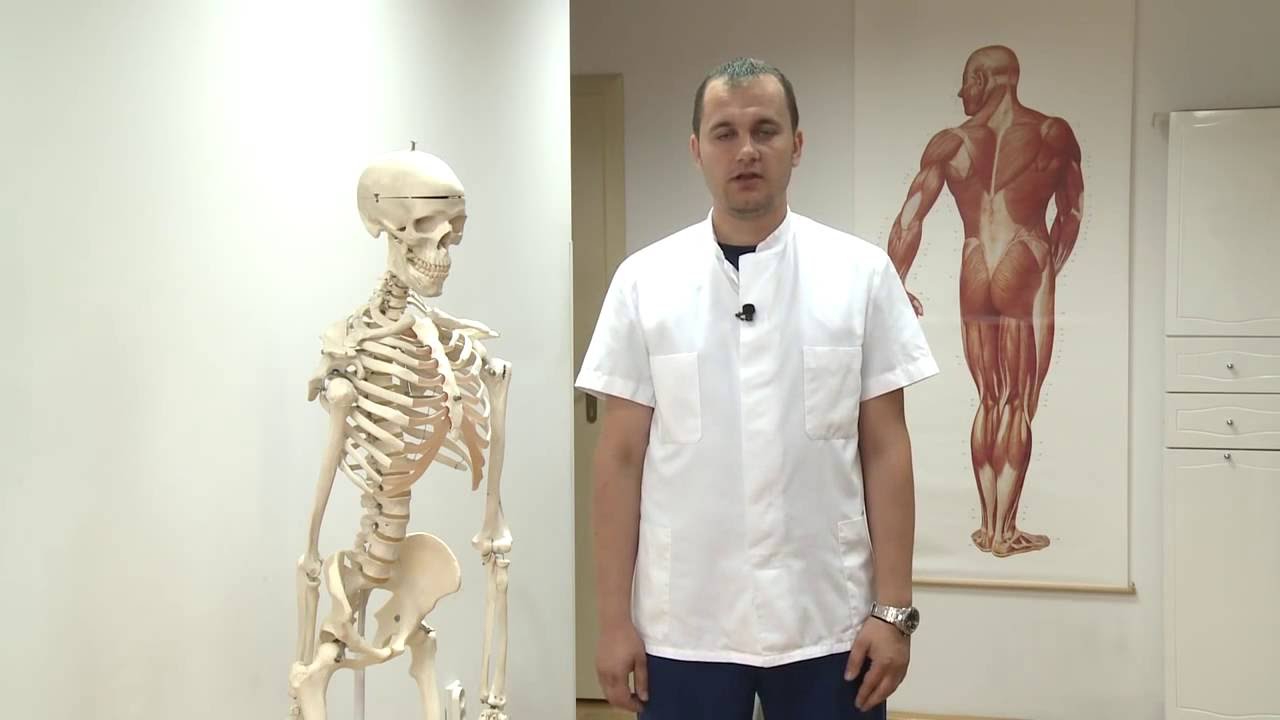 POBIJEDITE DEGENERATIVNE BOLESTI - ARTROZA KOLJENA