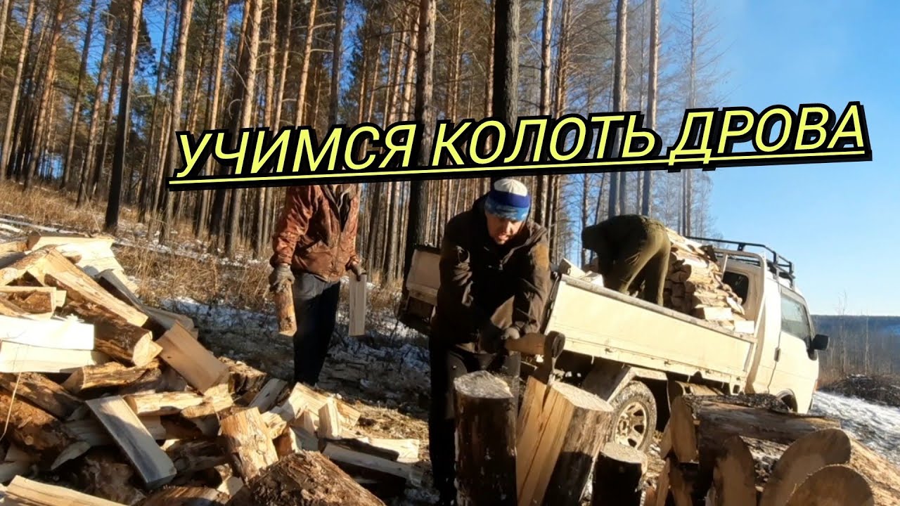 УЧИМСЯ КОЛОТЬ ДРОВА! ЗАГОТОВКА ДРОВ! КАК В РЕАЛНОСТИ ЕСТЬ НА САМОМ ДЕЛЕ!