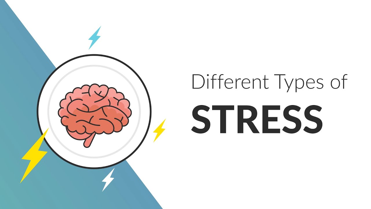 Stress and Adversity in Children