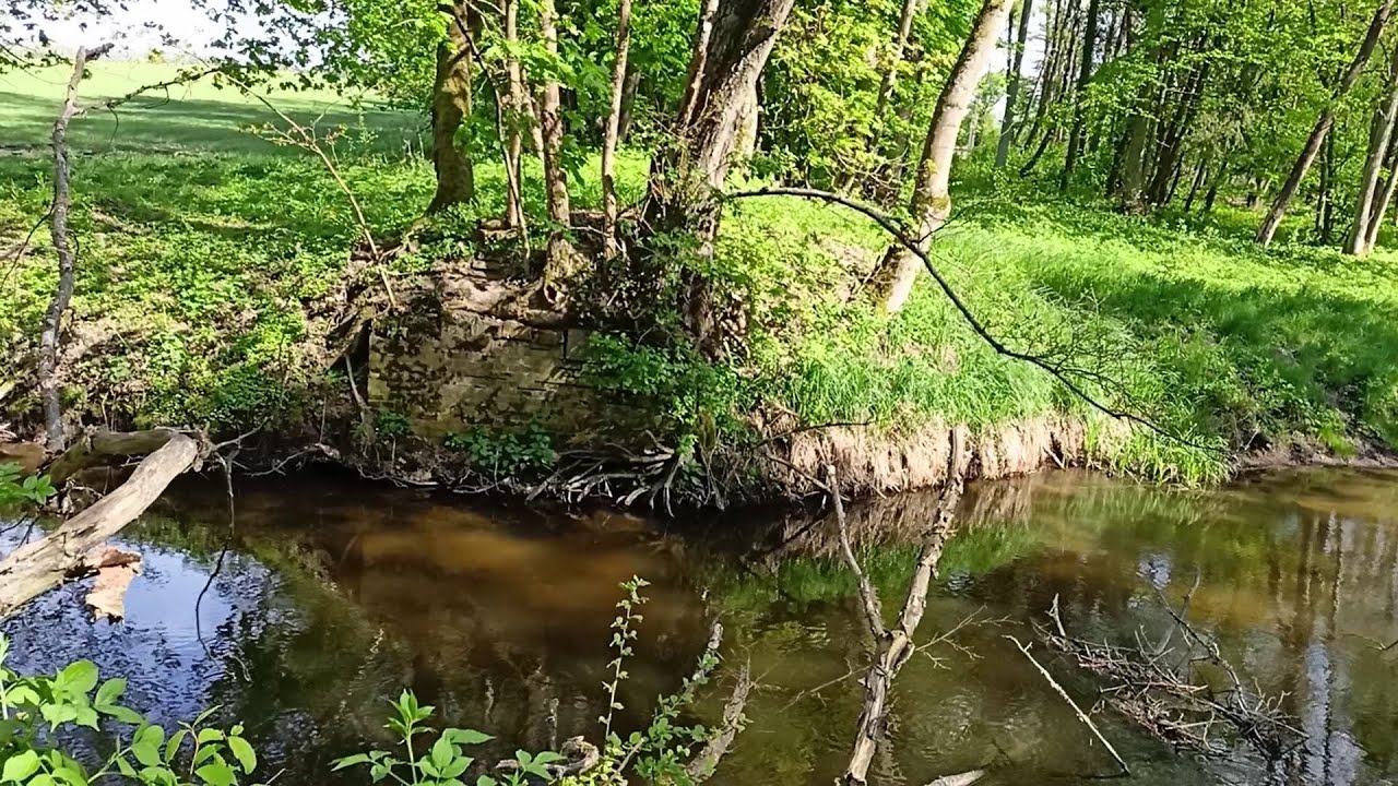 Dobrzany Wąsk. - Poźrzadło Dwór. Szlakiem dawnej kolei.