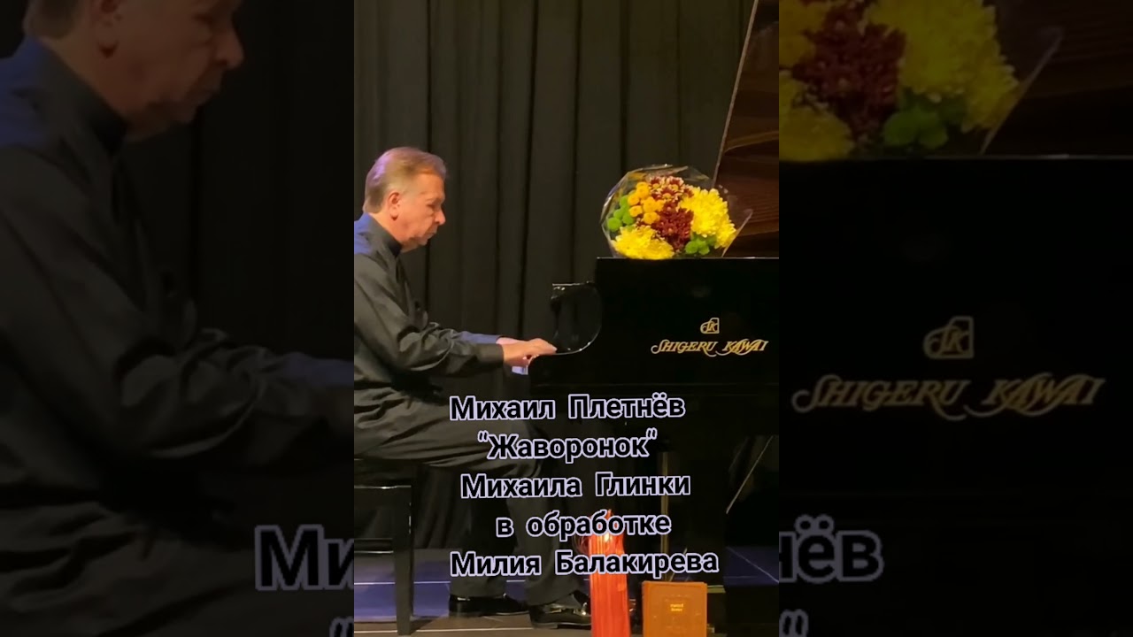 Михаил Плетнев