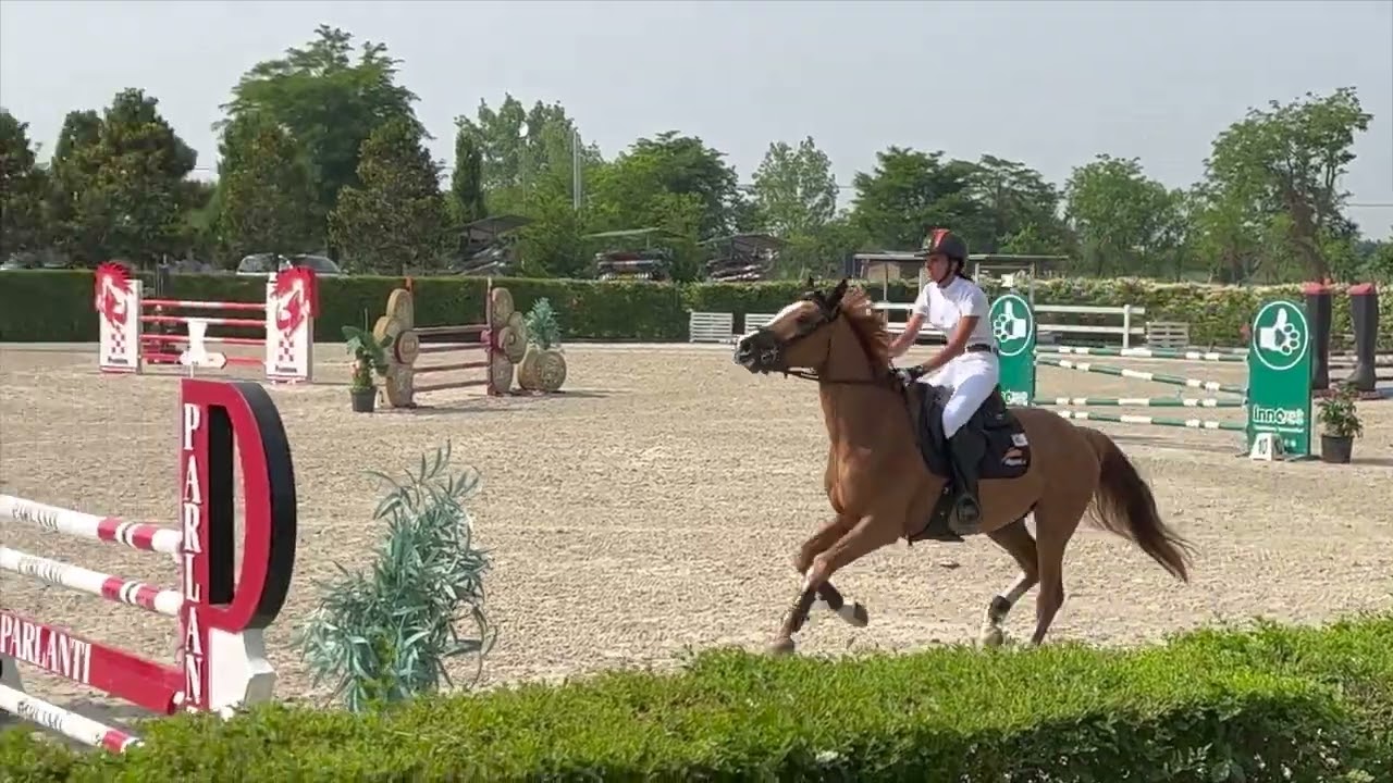 Blue Ciel - Laura Lorenzetti - May 2022 - Sunday 6yo Gp