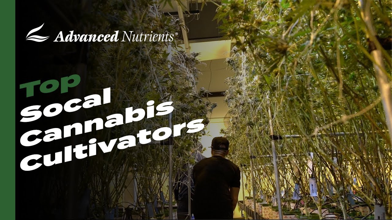 Advanced Nutrients visits 818 Brands in Southern California