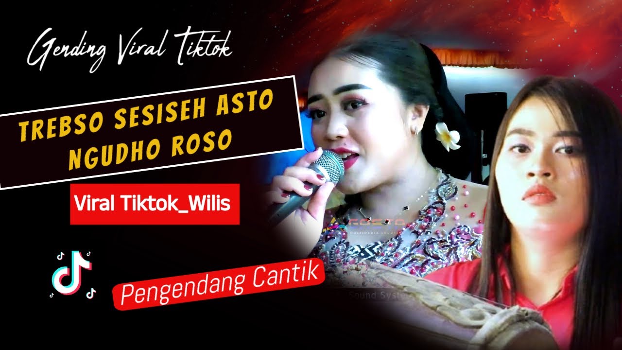 GENDING TAYUB VIRAL TIKTOK _TRESNO SESISEH ASTO _ NGUDHO ROSO_ NGUDHI LARAS