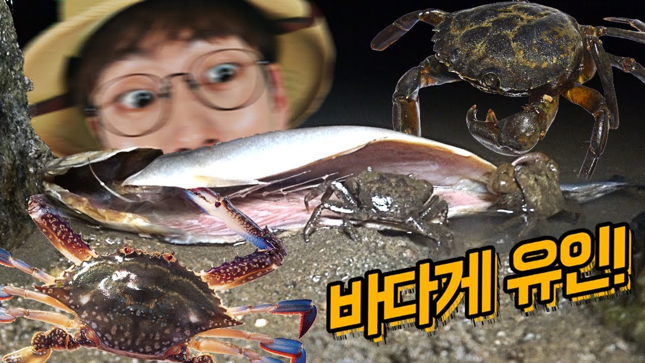 고등어 미끼로 '바다게' 유인하기!