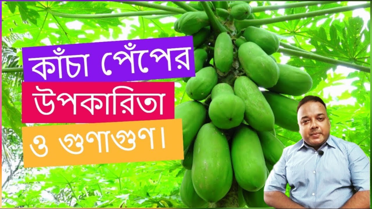 কাঁচা পেঁপে খাওয়ার উপকারিতা ও গুণাগুণ জেনে নিন।  কেন পেঁপে রাখবেন?  #healthnourishment| #papaya