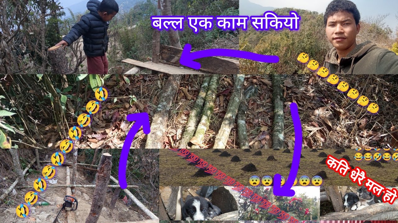NAYA KHOR BANAAU DAI AAJA || 🤣😂🤣 || कुकुर को बचा एत्रो भयो है साथिहरु || 💯💯💯 || DAY 1