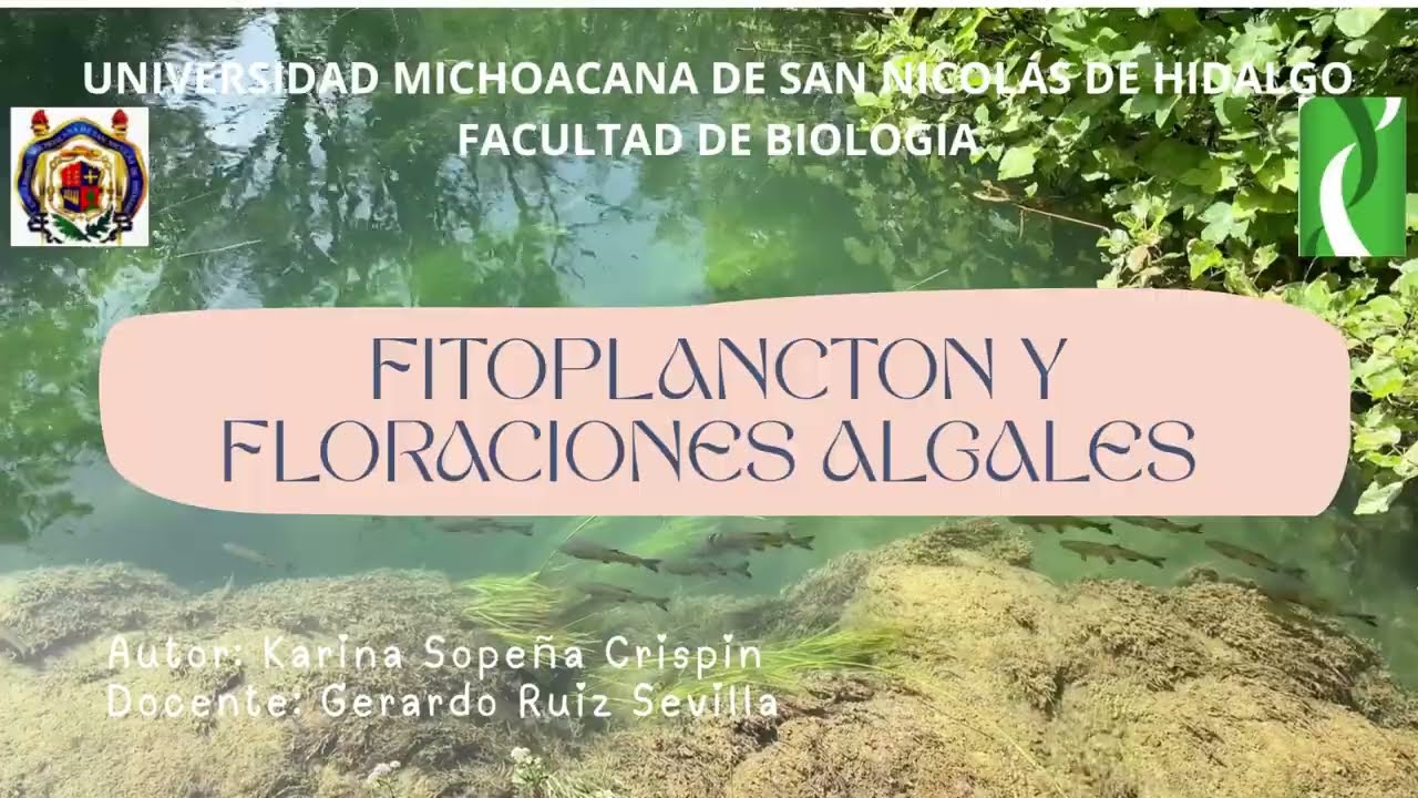 Gerardo Ruiz Sevilla - Karina Sopeña Crispin - Fitoplancton y Floraciones Algales