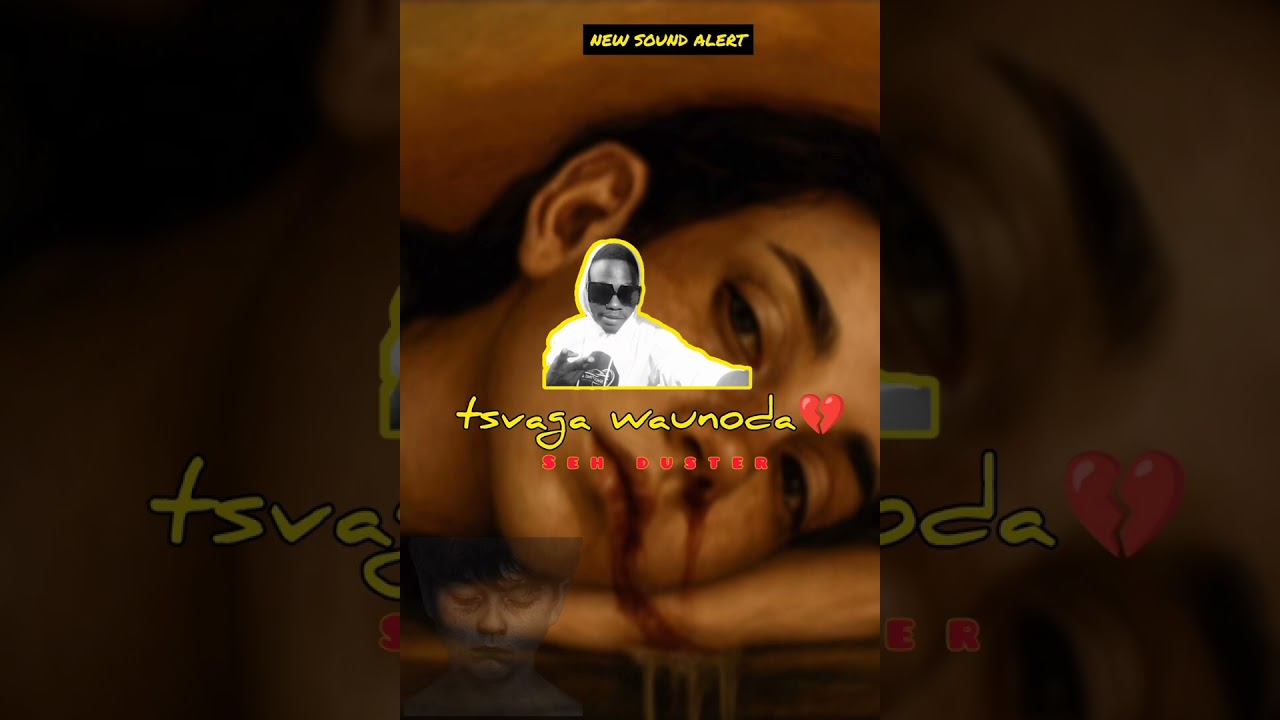 Seh duster-tsvaga waunoda(sad love story pro by Chizybusy house beatz and duster +2761 972 5447)
