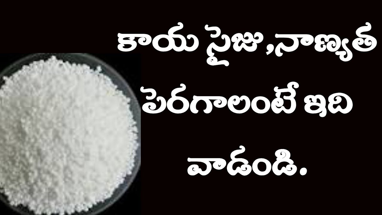 Calcium Naitrate | Micronutrieats In All Crops | Uses Of Calcium | కాల్షియమ్ నైట్రేట్ ఉపయోగాలు.
