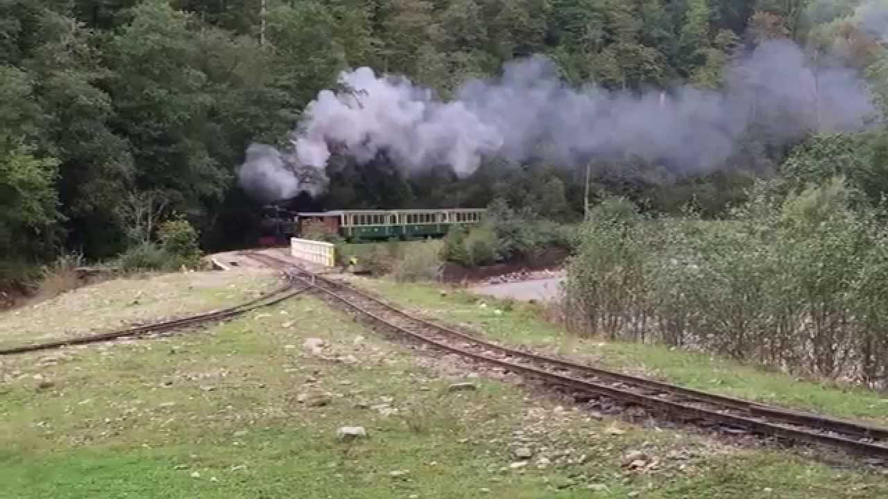 Chemin de fer forestier à Viseu de Sus (Roumanie)