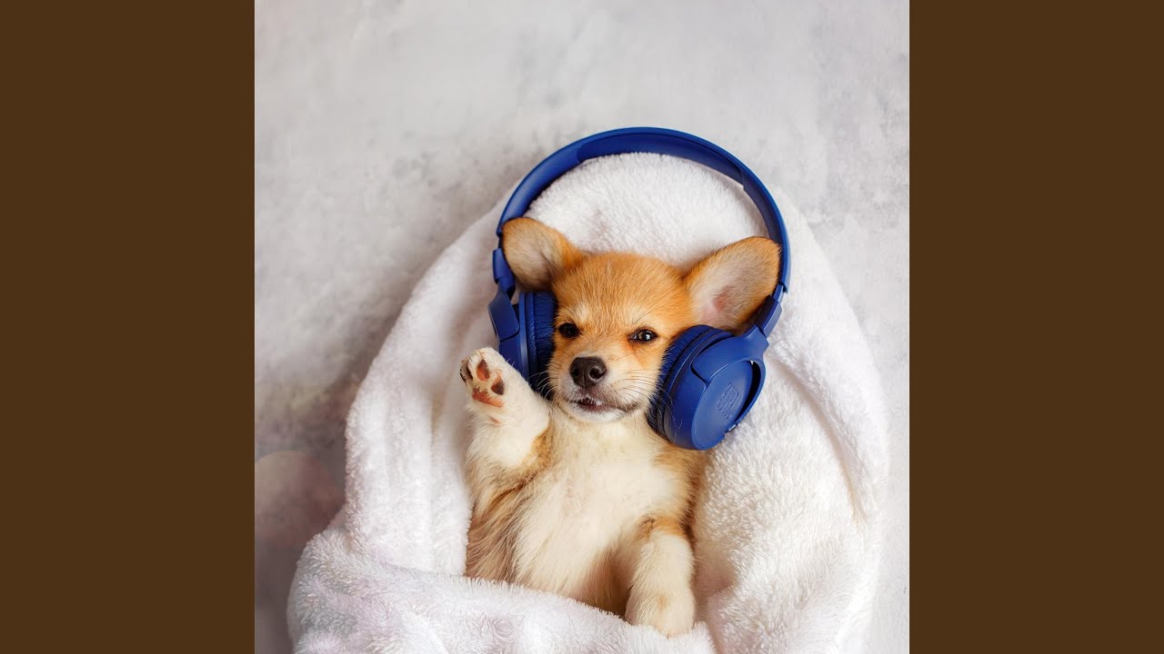 Pampered Pup Serenade