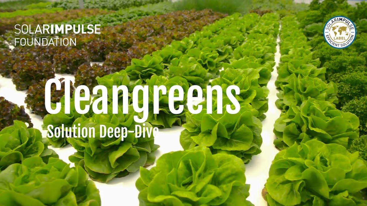 Solution Deep-Dive: Cleangreens