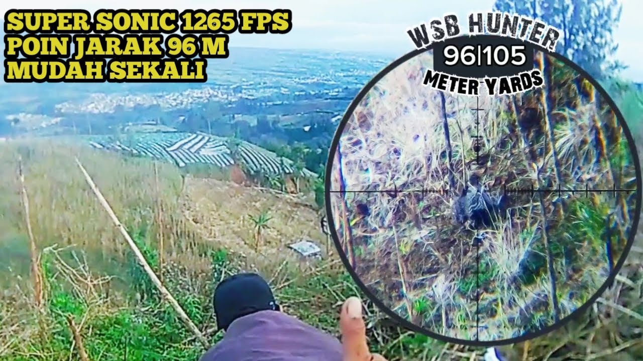 BERBURU AYAMHUTAN DI SEPOT TERBARU GUES 