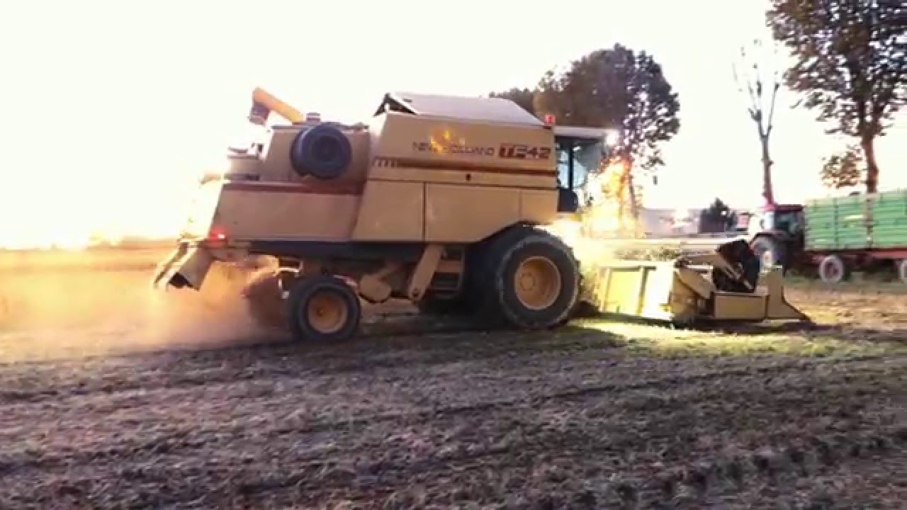 New Holland TF 42 raccolta soia