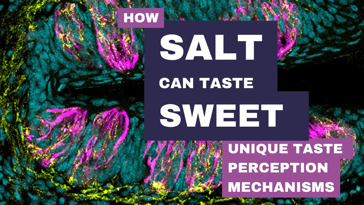 How Sweet Taste Receptors are Activated by Low Salt Concentrations