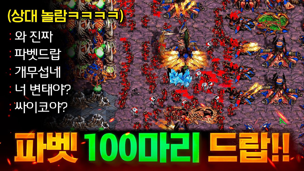 파이어벳 100마리 배달 왔습니다~ 이제 상대 본진을 구워볼까요?