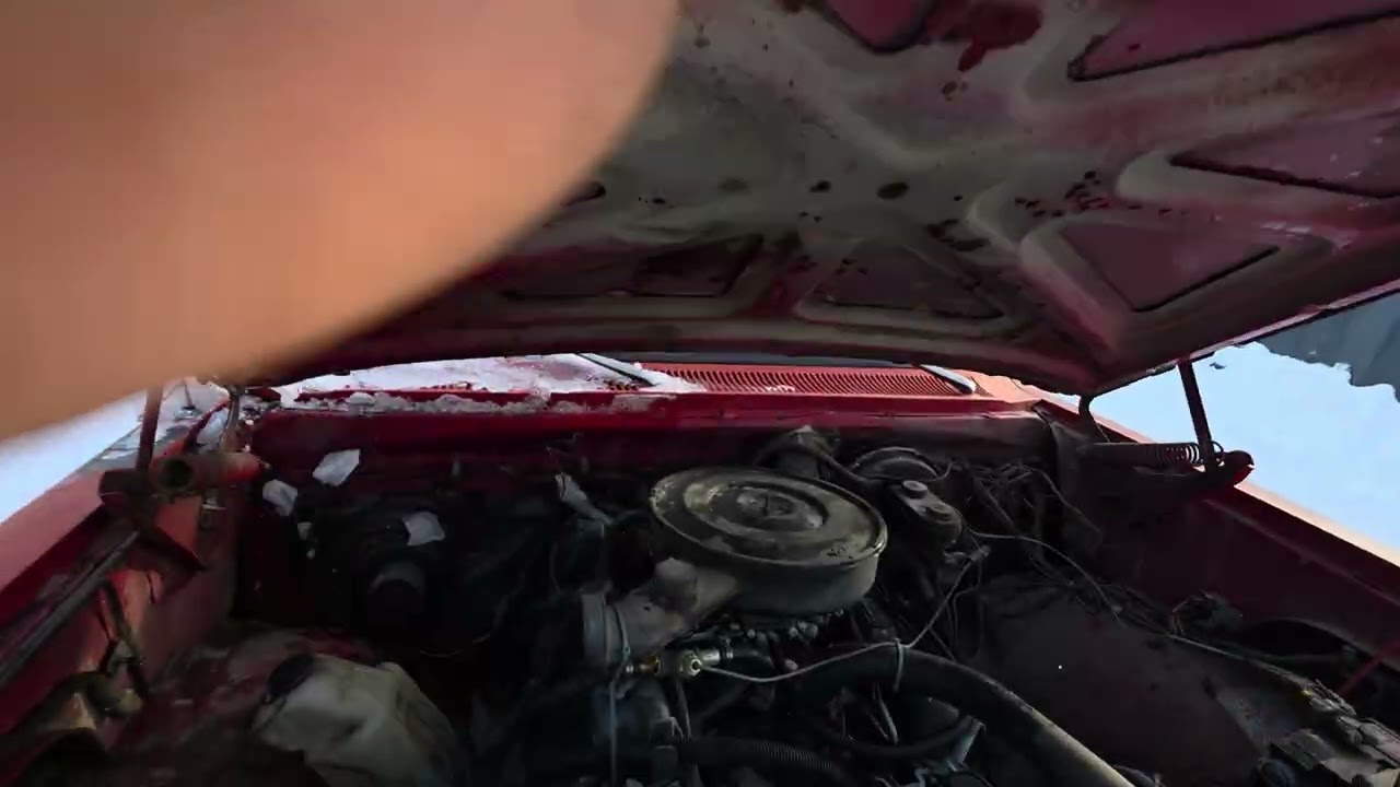 1981 Dodge D150 spring start