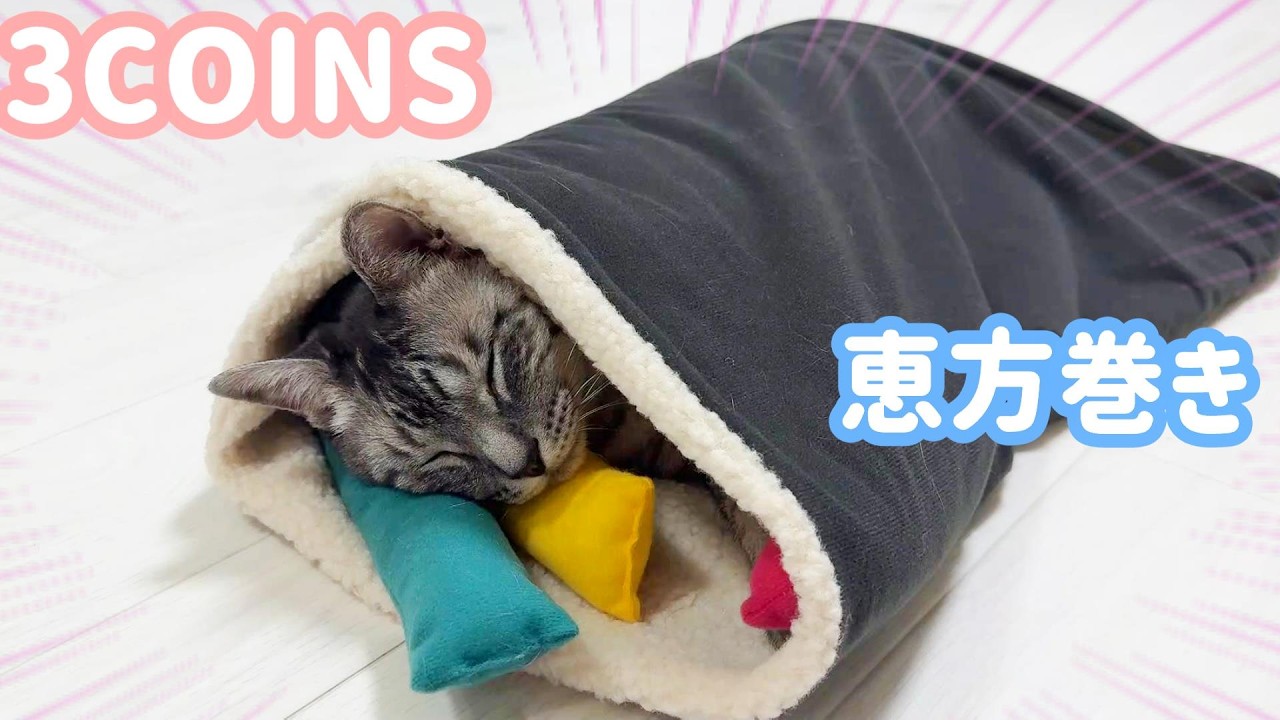 【3COINS】恵方巻きになれるセットで寒がりな猫を巻いてみたら