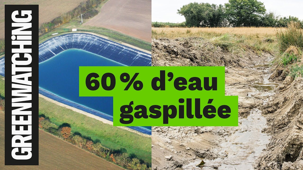 Mégabassines : ils privatisent l’eau en France - GREENWATCHING #10