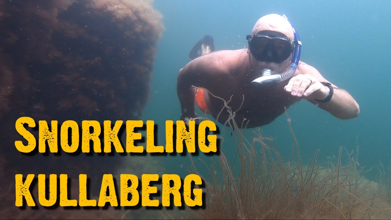 Snorkeling Kullaberg - In The Wild With Chris