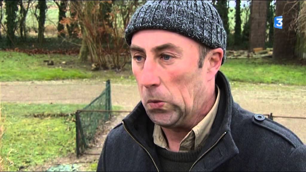 Siffleurs en Baie de Somme : les limicoles