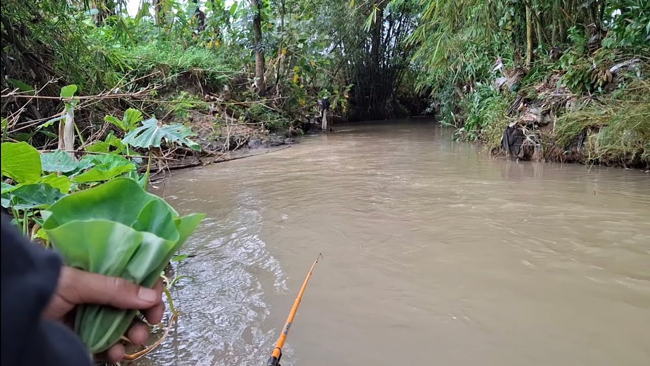 Mancing uceng di kala air keruh #foryou