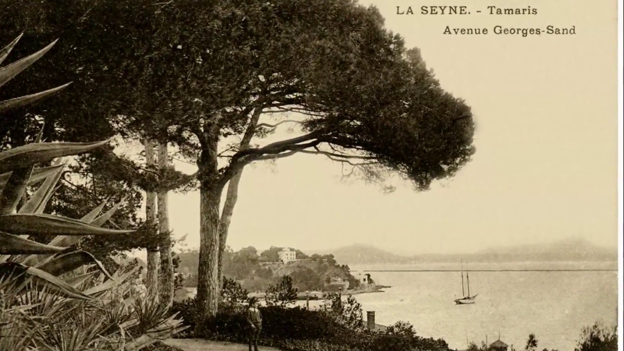 Les villas de Tamaris à La Seyne sur mer (21 quart)