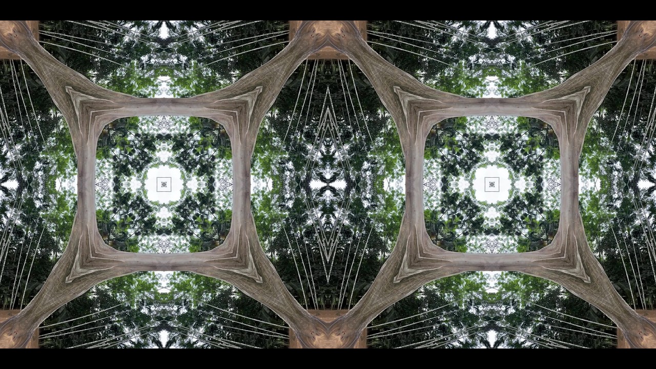 Kaleidoscope Tree | 8K Visual Art