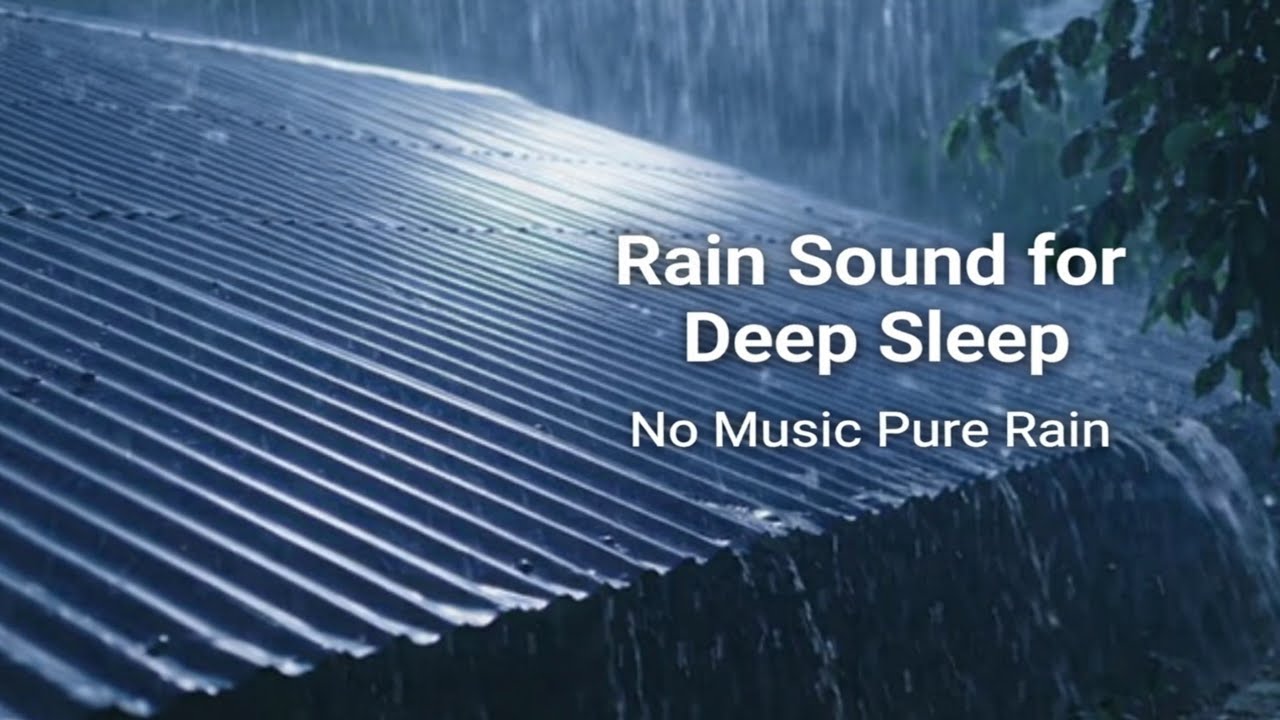 Rain Sounds on Roof for Deep Sleep 🌧️ | Fall Asleep Fast & Stay Asleep