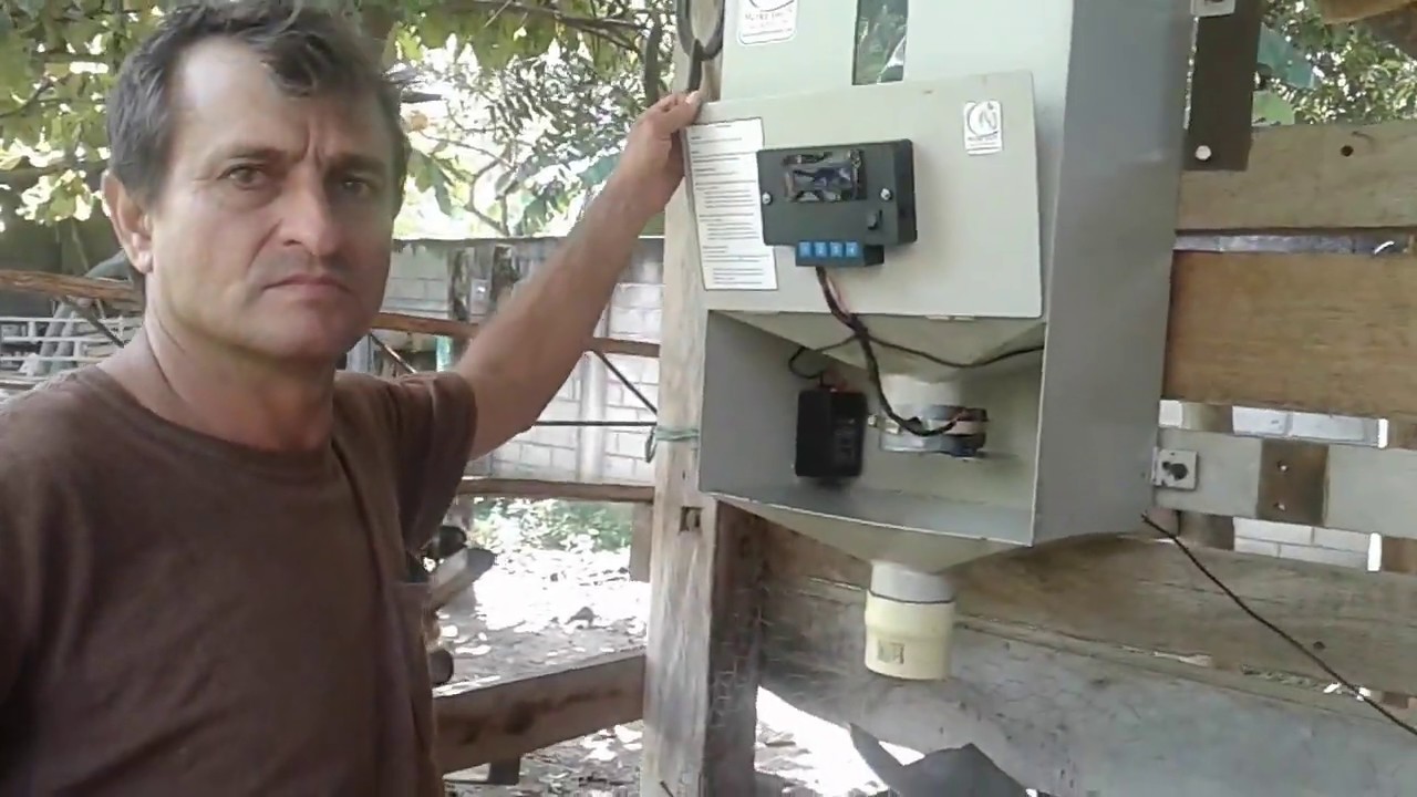 Dispensador Automático de Concentrado para caballos