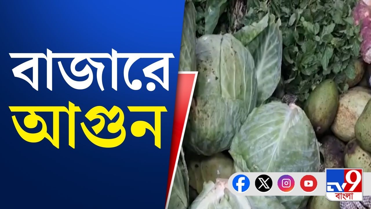 Vegetable Market Price Hike: পকেট পুড়ছে আমজনতার! কেন লাগাম আসছে না দামে?