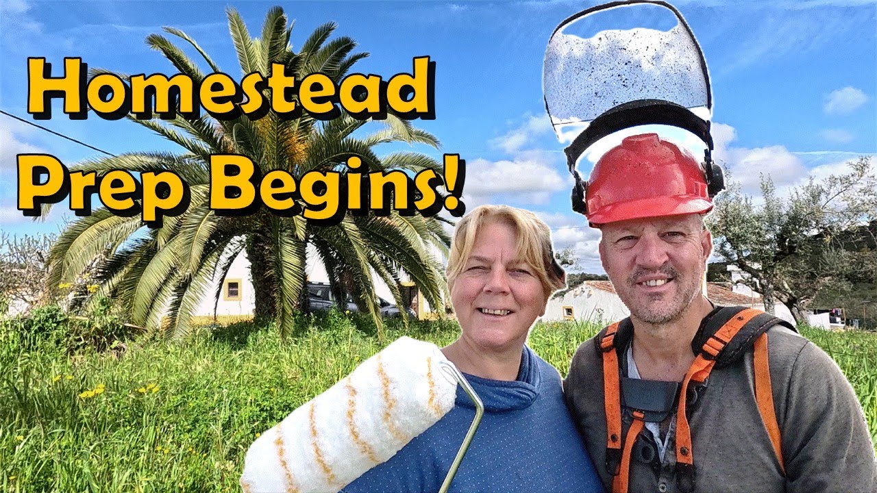 We bought an 8.5 acre farm in Portugal: Spring Tasks Begin!