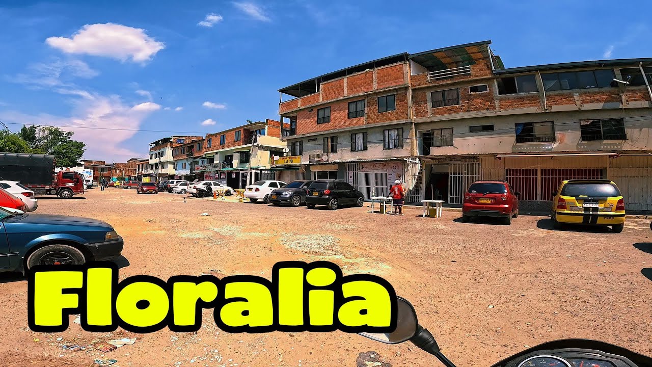 Como Van Estos Barrios del Norte de Cali