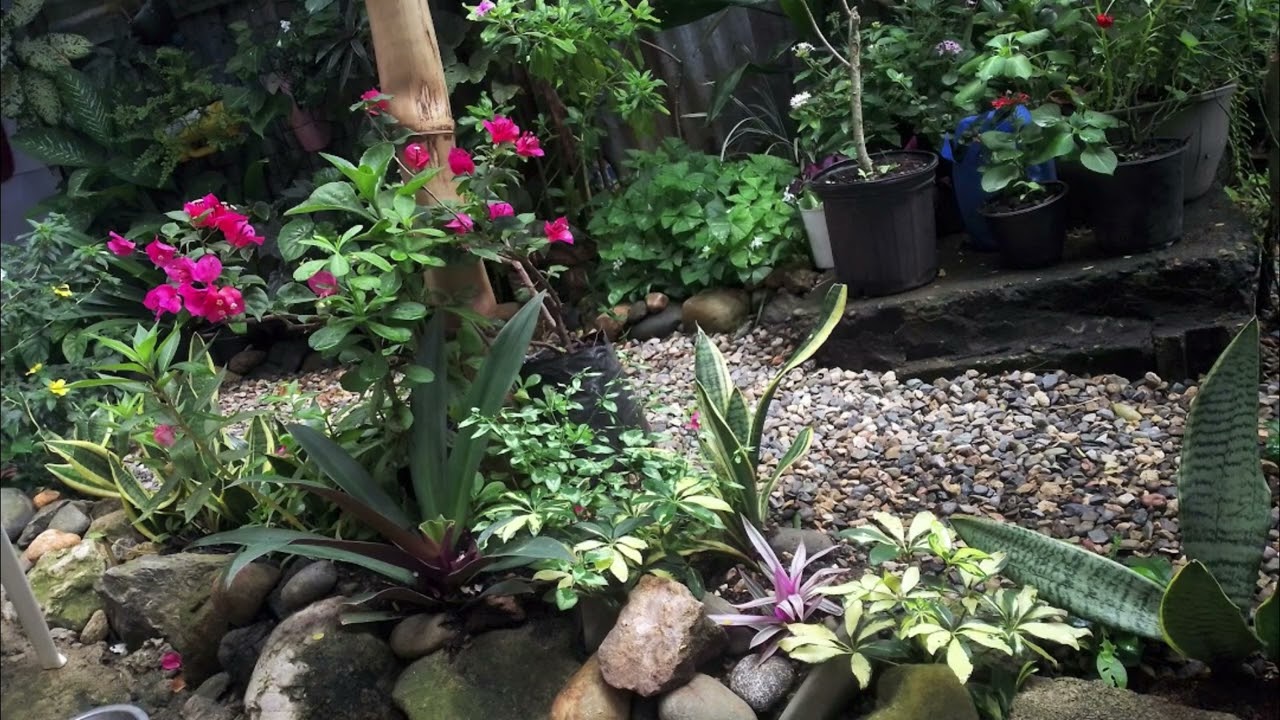 Espacios pequeños creados con amor 