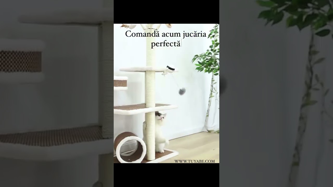 Jucărie Interactivă pentru Pisici 🐱 #pisici #romania